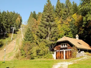 Image of Les Fougères