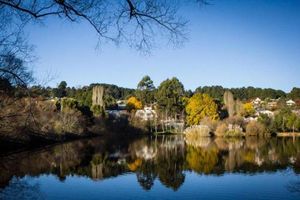 Image of Chestnut Daylesford