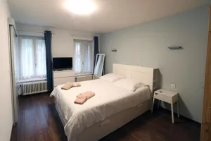 Image of Hotel du Lac Grandson