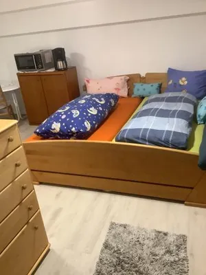 Image of Doppelzimmer mit neuem Bad und Sportpool-Nutzung außen, im Souterrain der Villa Naturpark, Garten mit Rheinblick