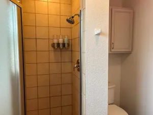 Image of Central 1br 1ba SA Casita w full kitchen & patio