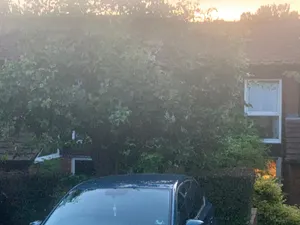 Image of South Croydon Lovely room, London