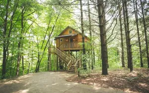 Image of Wild Cherry Treehouse by Amish Country Lodging