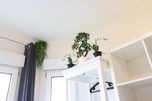 Image of Hotel Ulm Zentrum - Komplettes Zimmer, Hochbett, Android TV & eigenem Bad - perfekt für Familien & Gruppen