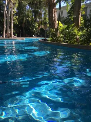 Image of PalmCove DriftAway