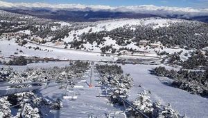 Image of La cigale