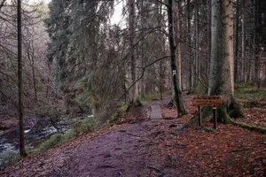 Image of La Mara Élo