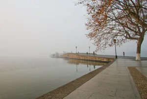 Image of Zhejiang University, Yuanzheng Xixi Hotel