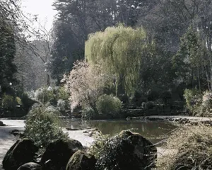 Image of Miricia Guest House