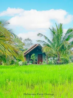 Image of Habarana Farm Cottage