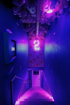 Image of Lustra Stundenhotel - Adults Only