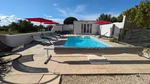 Image of Les Geckos