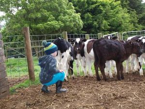 Image of Manderley Park Farmstay B&B