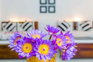 Image of City Resort Anuradhapura