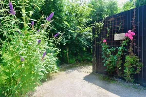 Image of Les Bobos à la ferme