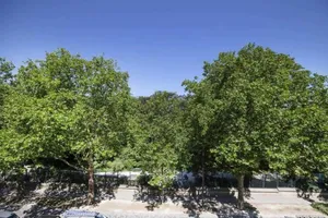 Image of luxury Paris La Vie En Rose jacuzzi terrasse Parking