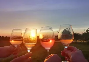 Image of Weingut Will & Würz Riesling
