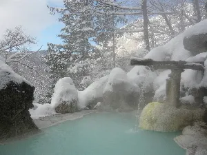 Image of Hirahone Onsen Shirafuneso Shintaku Ryokan