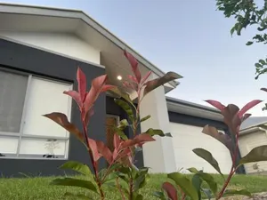 Image of Charming Home in Griffin for Unforgettable stay