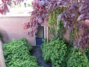 Image of Kerkakker0