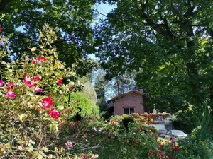 Image of Les Sittelles - Tilff