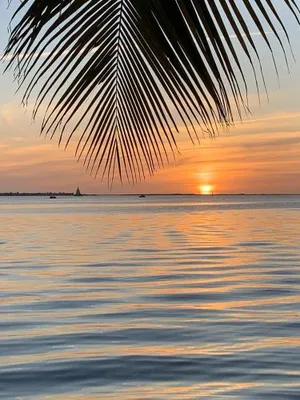 Image of Keys Paradise!