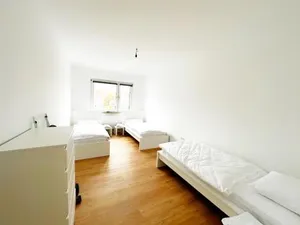 Image of M1 Mainz 3 Betten 40qm kleine Wohnung komplett Stadtmittte