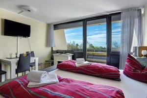Image of Appartement Feuersalamander