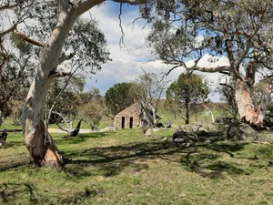 Image of TOUCHDOWN COTTAGES
