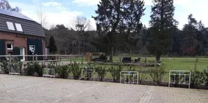 Image of B&B Bourgondisch Lomm