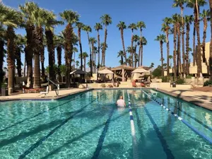 Image of Father's Day Buffet at Palm Valley Country Club, Pickleball, Tennis, Gym, Clubhouse, Swimming Pools, Lux, Spac 2 Bdrms Den 2 Ba