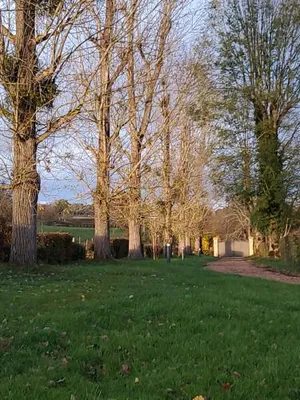 Image of Les Tilleuls de Marie