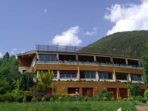 Image of Hotel Sonnenheim