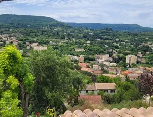 Image of Le jardin des oliviers