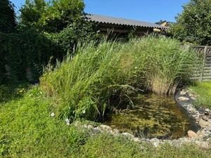 Image of Moderne Unterkunft mit Garten und Terrasse