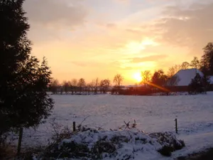 Image of Farmhouse in Waskemeer near the forest
