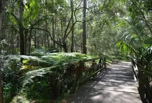 Image of Newly renovated home near shops, m1, national forest & Koalas!