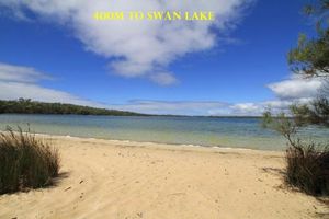 Image of Swan Lake Escape