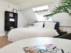 Image of Guesthouse at the Amstel river with 2BR 2BA and garden