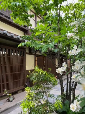 Image of Imakumano Terrace - Mokubei An 木米庵