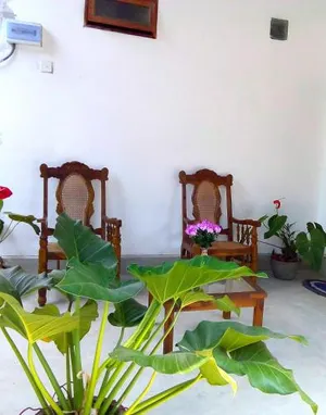 Image of T & U Homestay