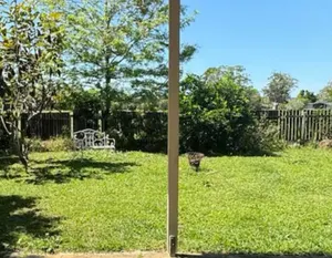 Image of Beautiful, comfortable 7 mins walk to Mullumbimby