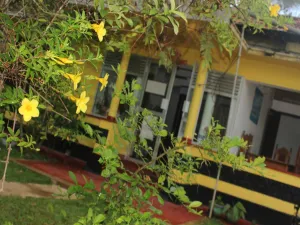 Image of Ananda Home Stay and Restaurant