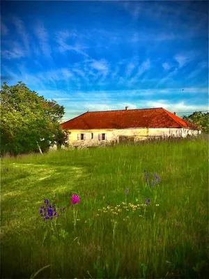 Image of Le Bouyssou