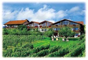 Image of Weinberghof