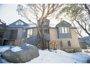 Image of Wintergreen 10