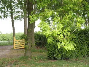 Image of Farmhouse in Doorn near Utrechtse Heuvelrug