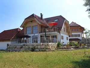 Image of Lärche
