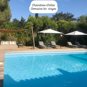 Image of DOMAINE LES VINYES