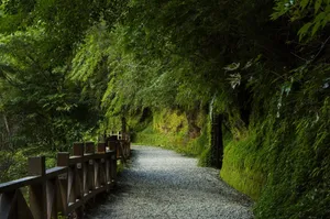 Image of He Feng Homestay